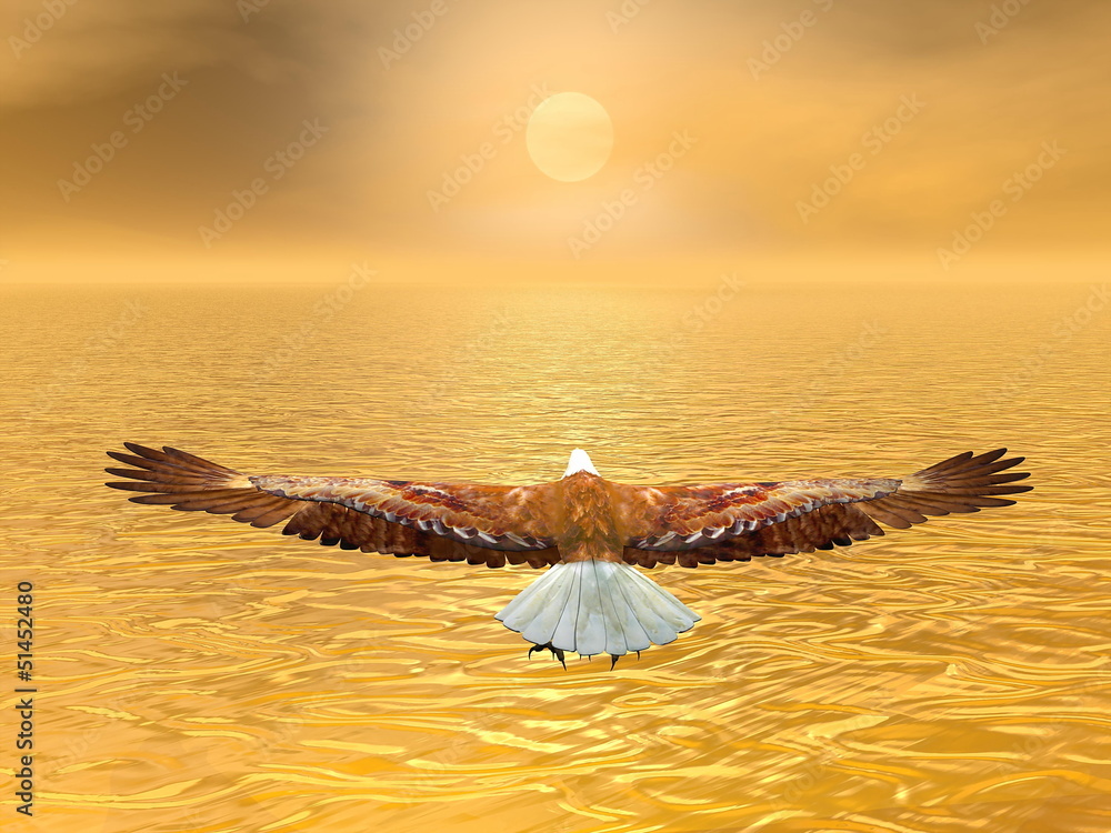 Obraz premium Eagle going to the sun - 3D render