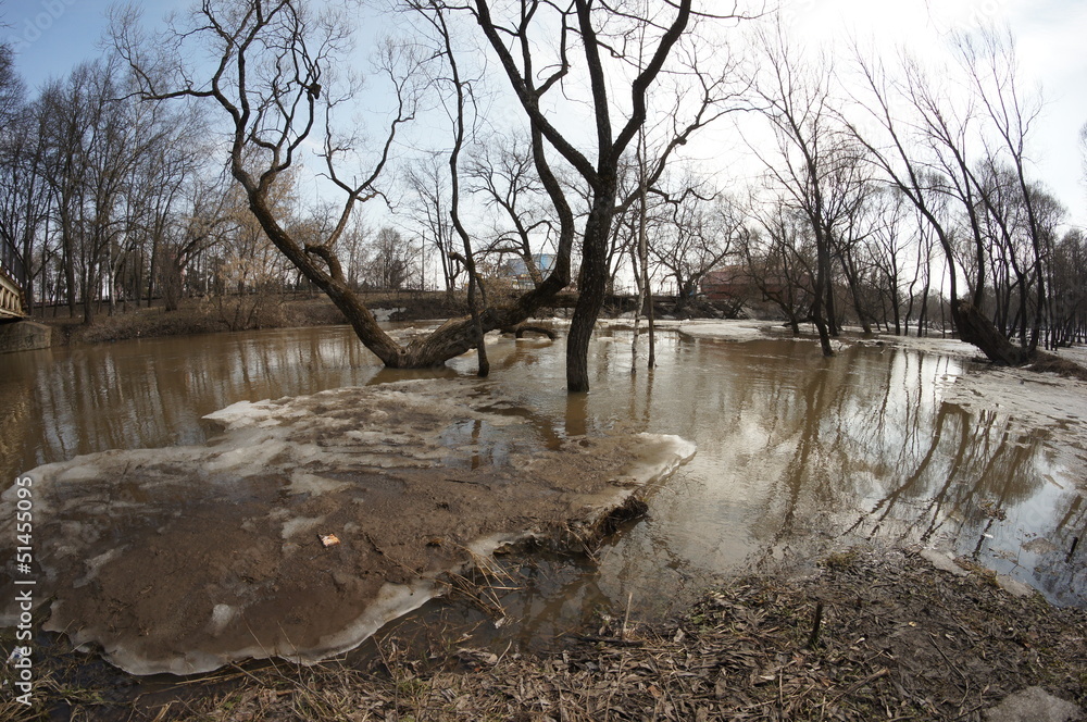 Obraz premium spring flood