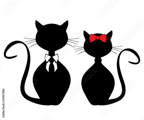Black cats