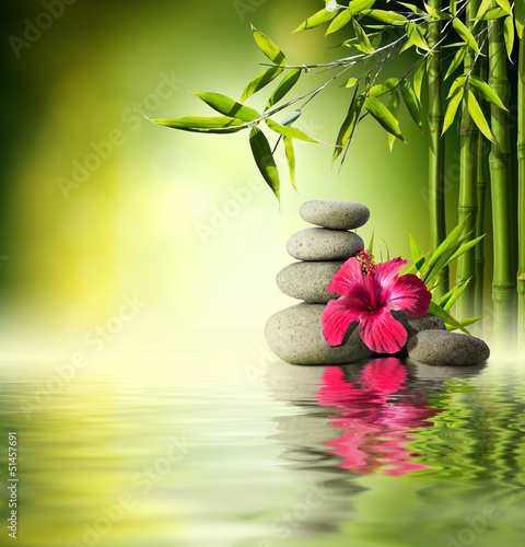 Stones, red hibiscus and Bamboo on the water