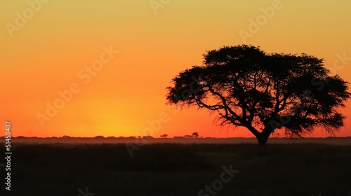 Sunset over the African plains - Melted Gold