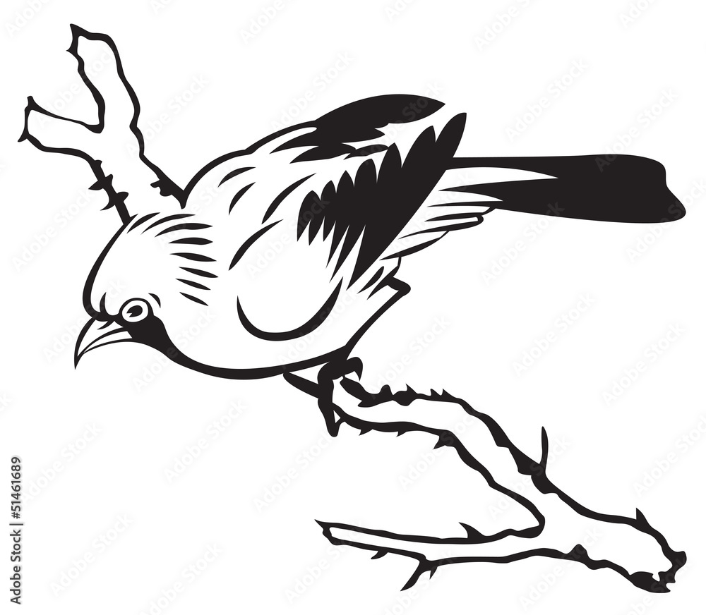 Obraz premium bird on the white background for coloring