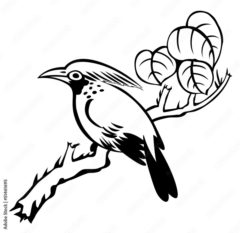 bird on the white background for coloring