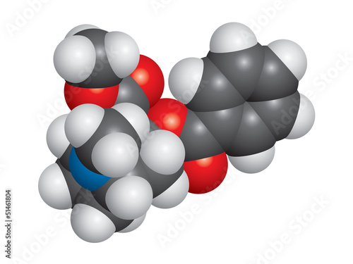 Cocaine molecule space fill model - C17H21NO