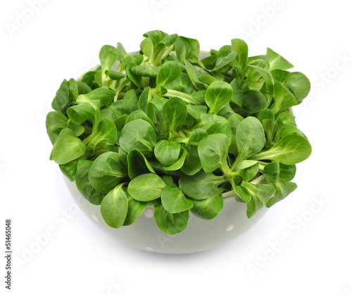 Valerianella salad