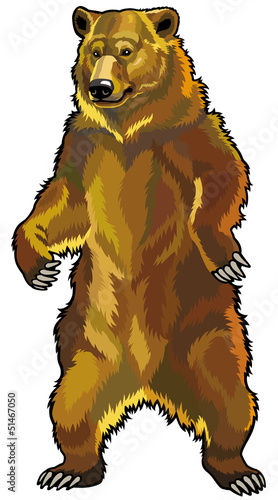 grizzly bear