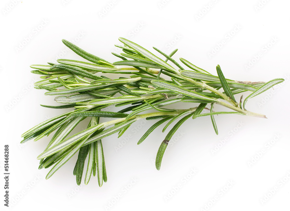 Fresh rosemary