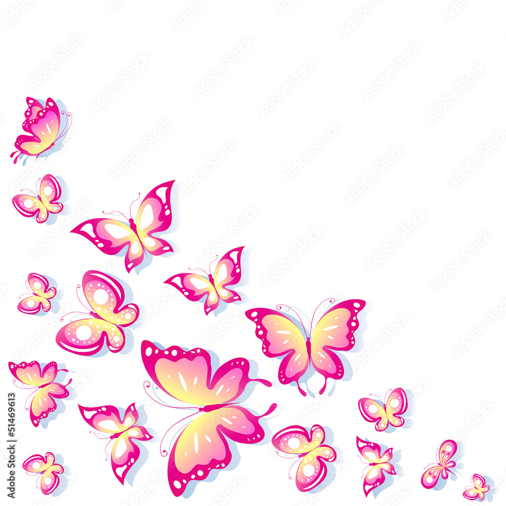 butterfly,butterflies vector