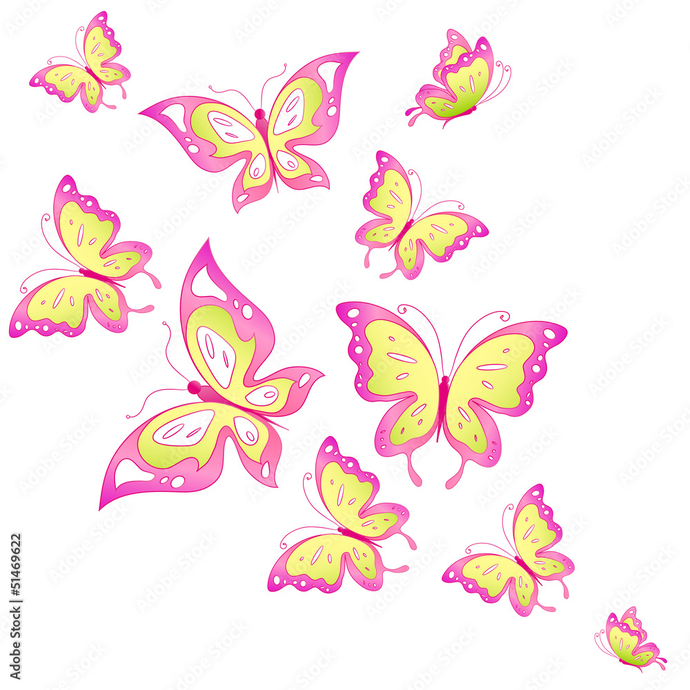 butterfly,butterflies butterfly,butterflies