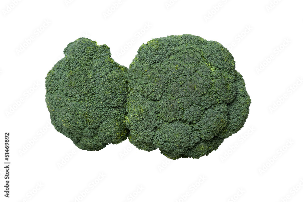Broccoli vegetable isolated on white