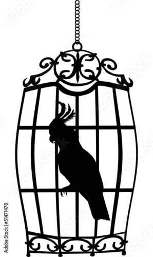 parrot in cage isolated on white