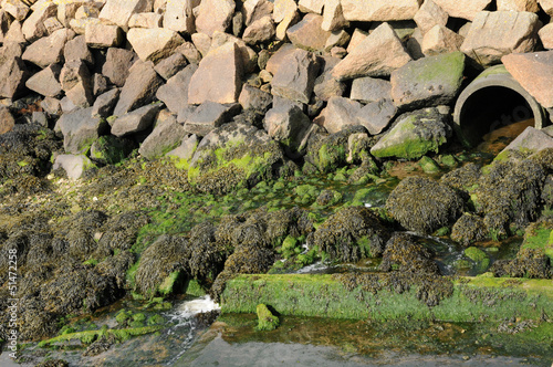 Bretagne, sewer pipe in the port of Ploumanac h photo