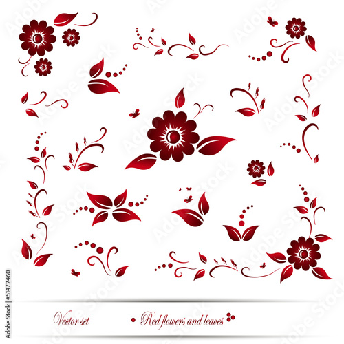 Vector set of red flowers and leaves
