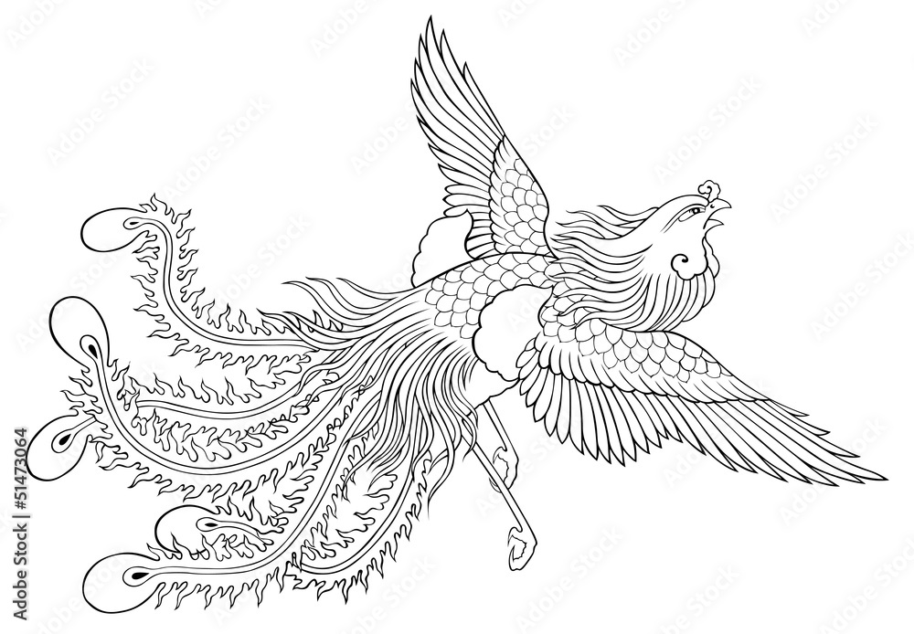 Fototapeta premium phoenix chinese style for coloring