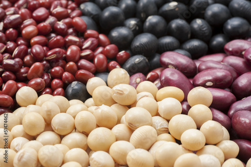 多種の豆の集合