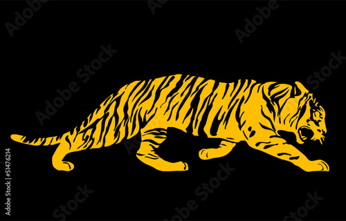 tiger