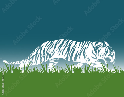tiger