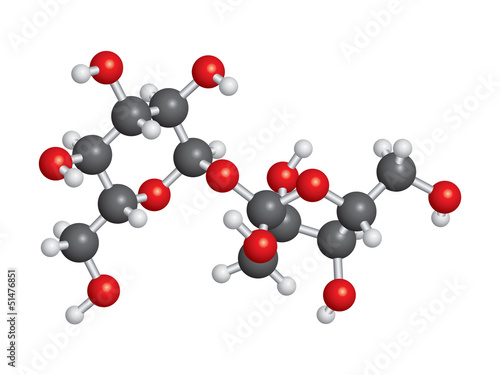 Sucrose (sugar) molecule ball and stick model - C12H22O11