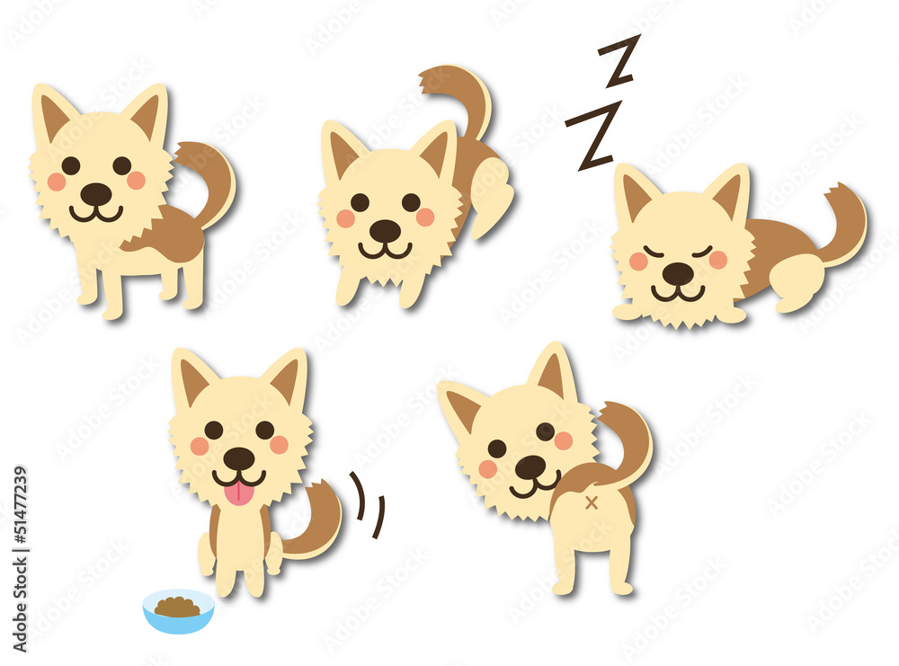 犬 顔 いろいろな表情 犬 顔 いろいろな表情