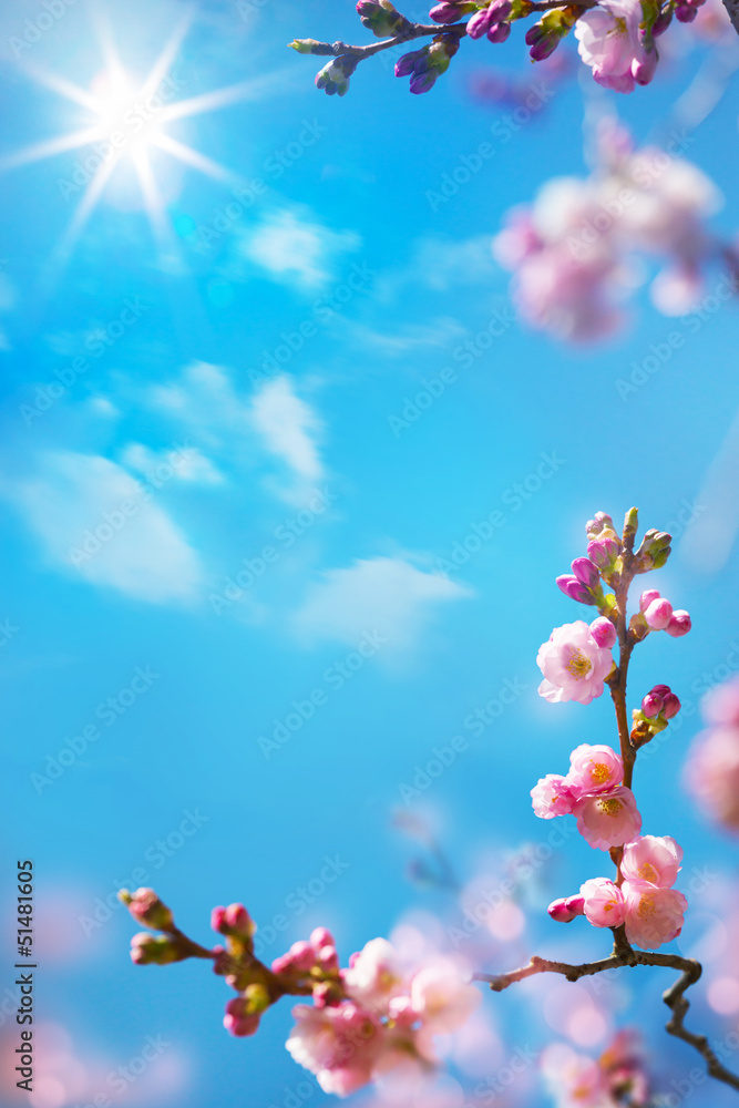 abstract floral spring background - obrazy, fototapety, plakaty 