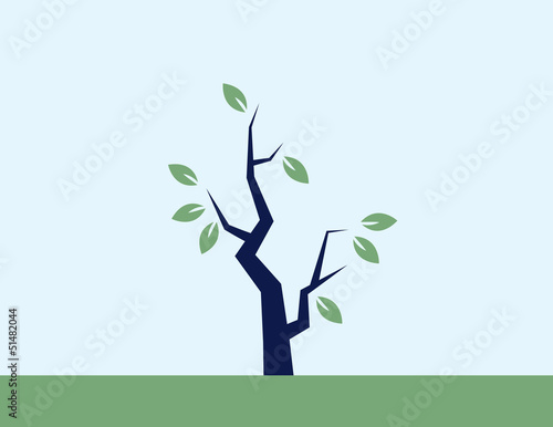 Single tree with several leaves
