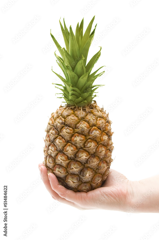 Fototapeta premium Hand holding a fresh pineapple