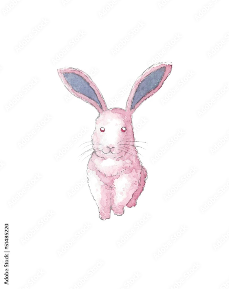 ピンク色のウサギ ピンク色のウサギ