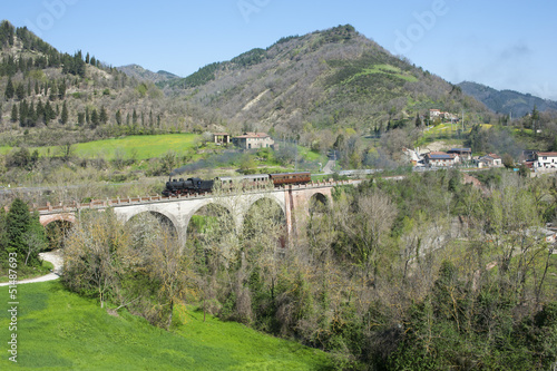 Steam train on railway bridge