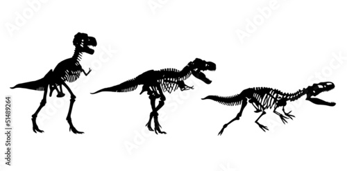 three skeletons of dinosaurs