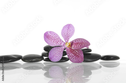 zen stones and orchid isolated