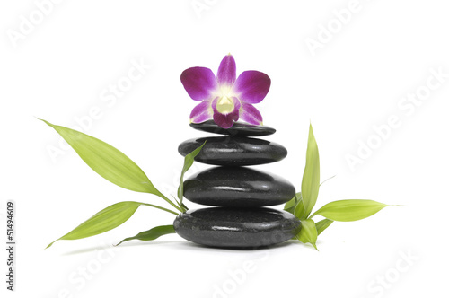 pink orchid and bamboo leaf with stones on white background