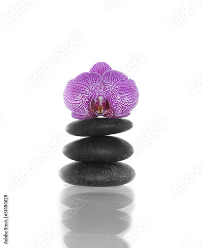 Pink orchid blossom on top of balanced spa stones, isolated