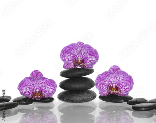 pink orchid and stacked stones reflection