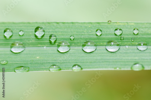 Water drops