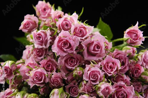Big Pink Roses Bouquet-black background © skywing