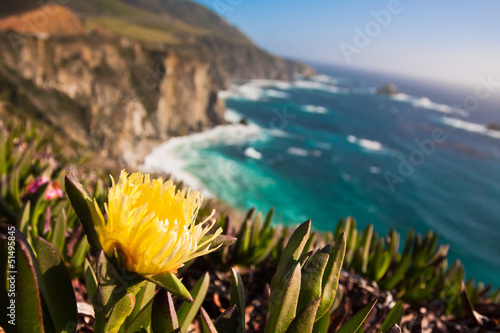Beautiful Coastline in Big Sur,California