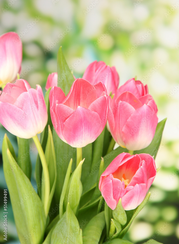 Pink tulips on bright background Pink tulips on bright background