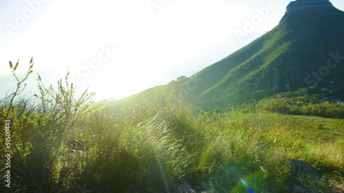 Green grassy rocky hill, table mountain, south africa