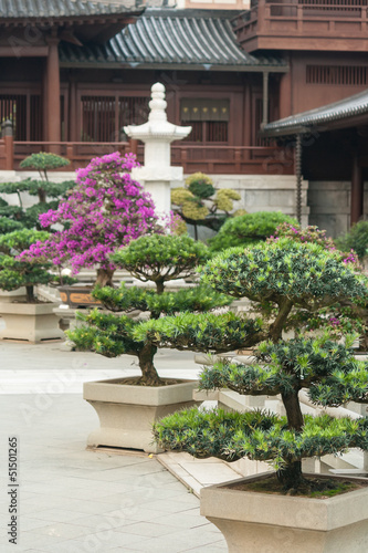 bonsai trees in Chi Lin nunnery