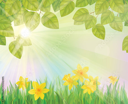 Vector of daffodil flowers on spring background.