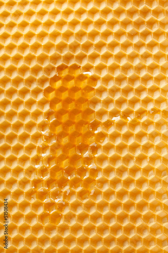 fresh honey in comb