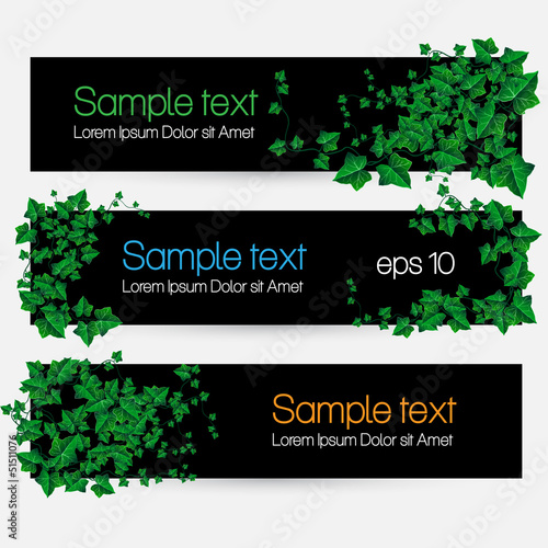 Ivy Leaf Decorated Vector Banner Set