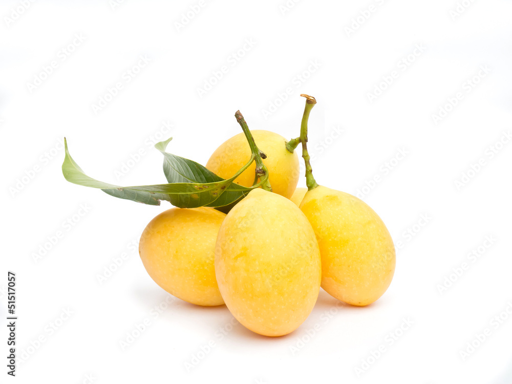 The Marian plum fruit isolated on white background