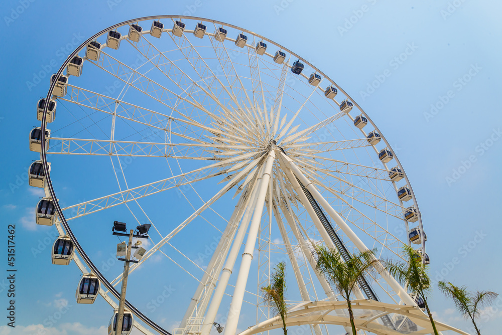 Fototapeta premium Swing