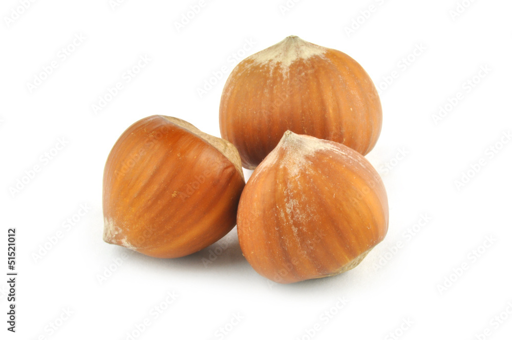 Hazel nuts Hazel nuts