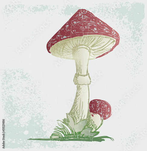 Amanita. Grunge style