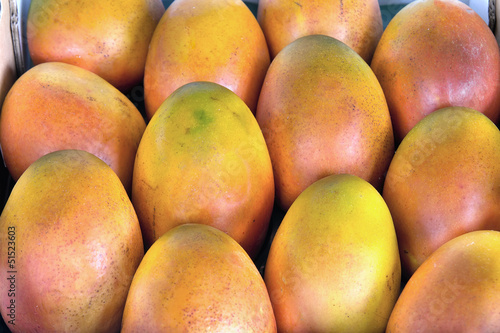 Grove Grown Mangoes Closeup