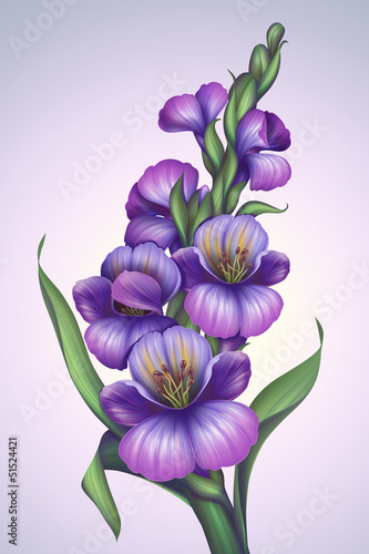 Fototapeta Naklejka Na Ścianę i Meble -  creative fantasy violet flower illustration