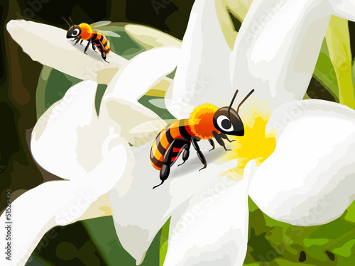 bee on flower