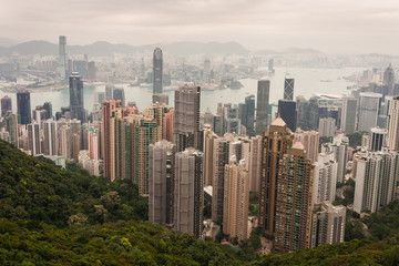 Papier peint photo Hong Kong Vue panoramique depuis Victoria Peak  © Patrik Stedrak
